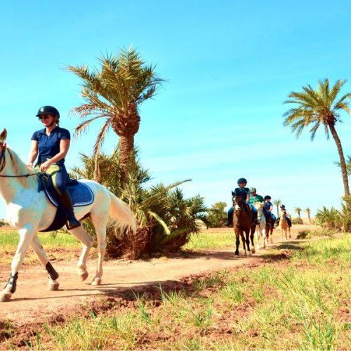 Balade de Cheval à la Palmeraie Marrakech